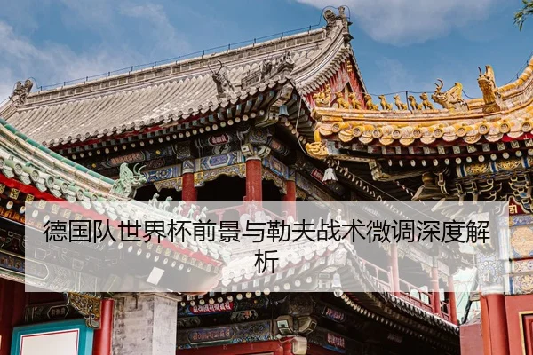 德国队世界杯前景与勒夫战术微调深度解析（huiying）